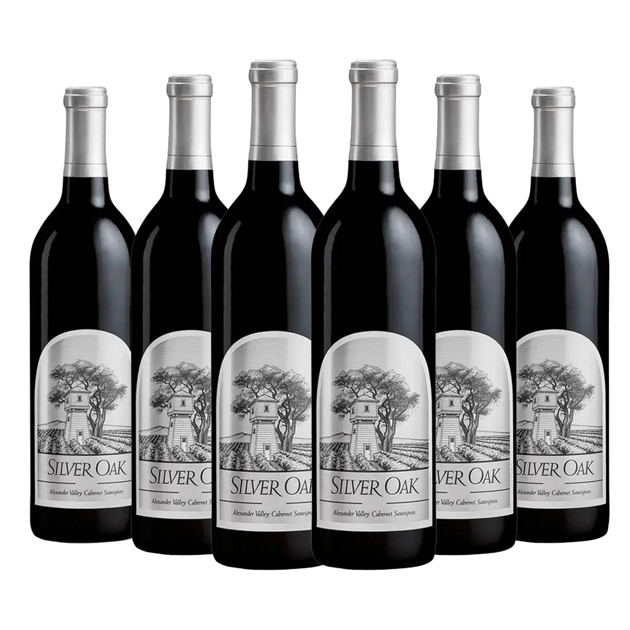 Silver Oak Alexander Valley Cabernet Sauvignon 750ml - Liquor Boutique